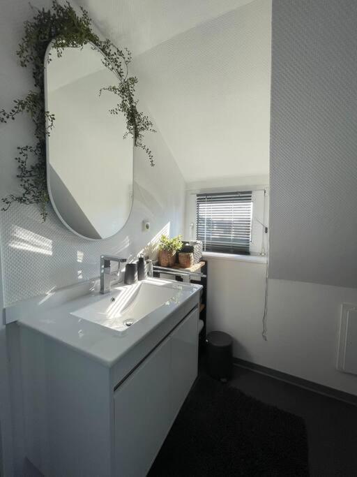 Gemuetliche, Helle Wohnung In Paderborn Exterior foto